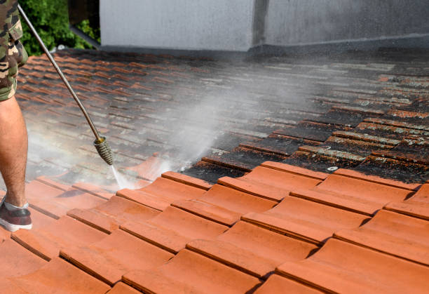 Best Pressure Washing Brick  in Watervliet, NY