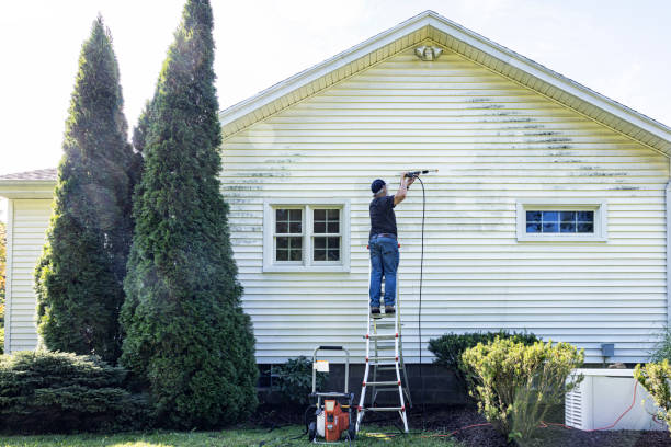 Best Roof Pressure Washing  in Watervliet, NY